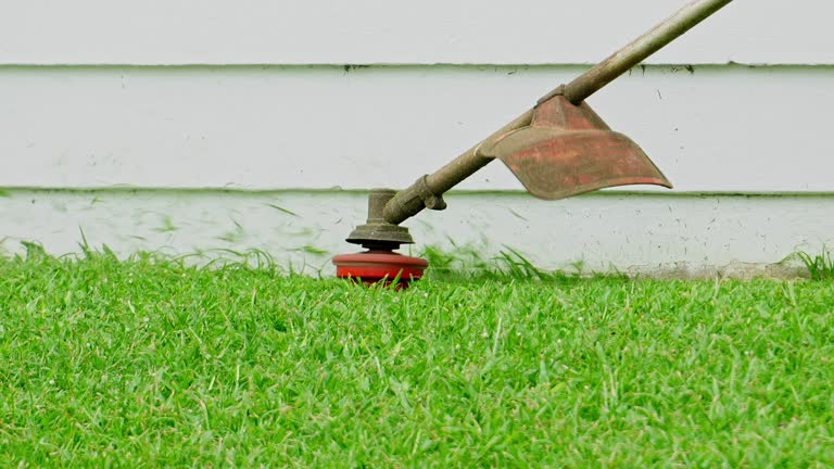 Best Aeration Services  in Holly, MI